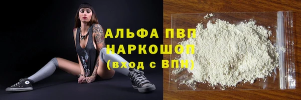 индика Пестово
