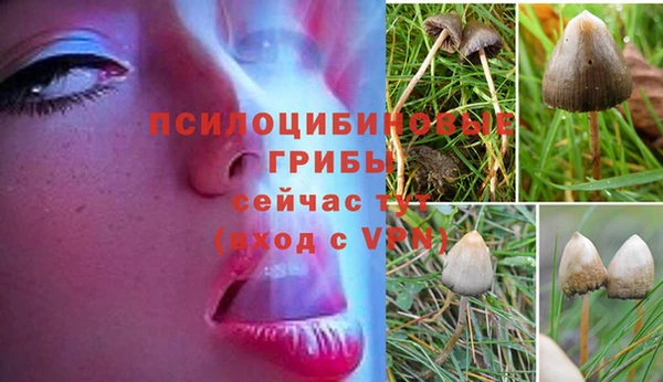 прущая мука Покров
