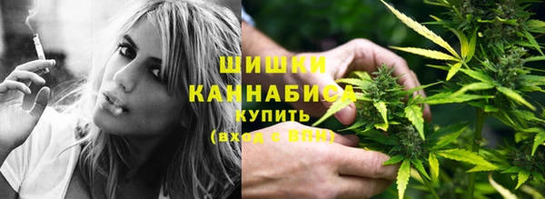 PSILOCYBIN Покровск